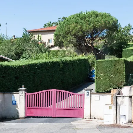 Les Iris